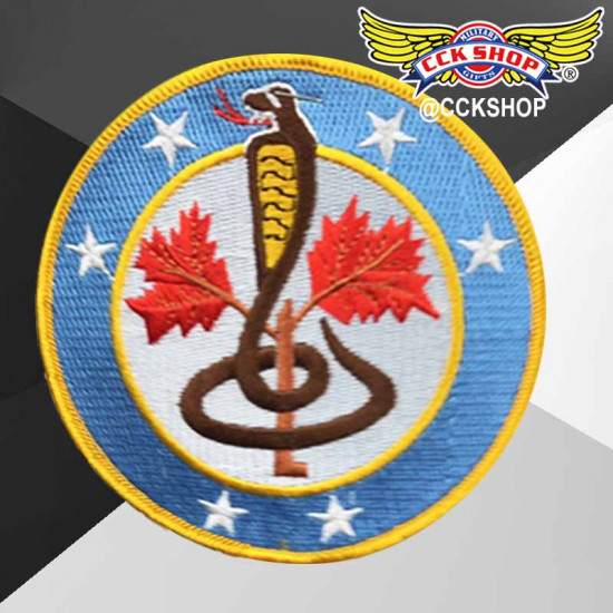 空軍第2聯隊第42作戰隊部隊臂章  